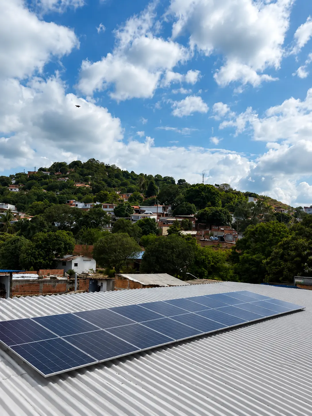 Paneles Solares